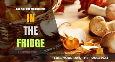 Storing Mushrooms: Fridge Tips for Freshness and Longevity