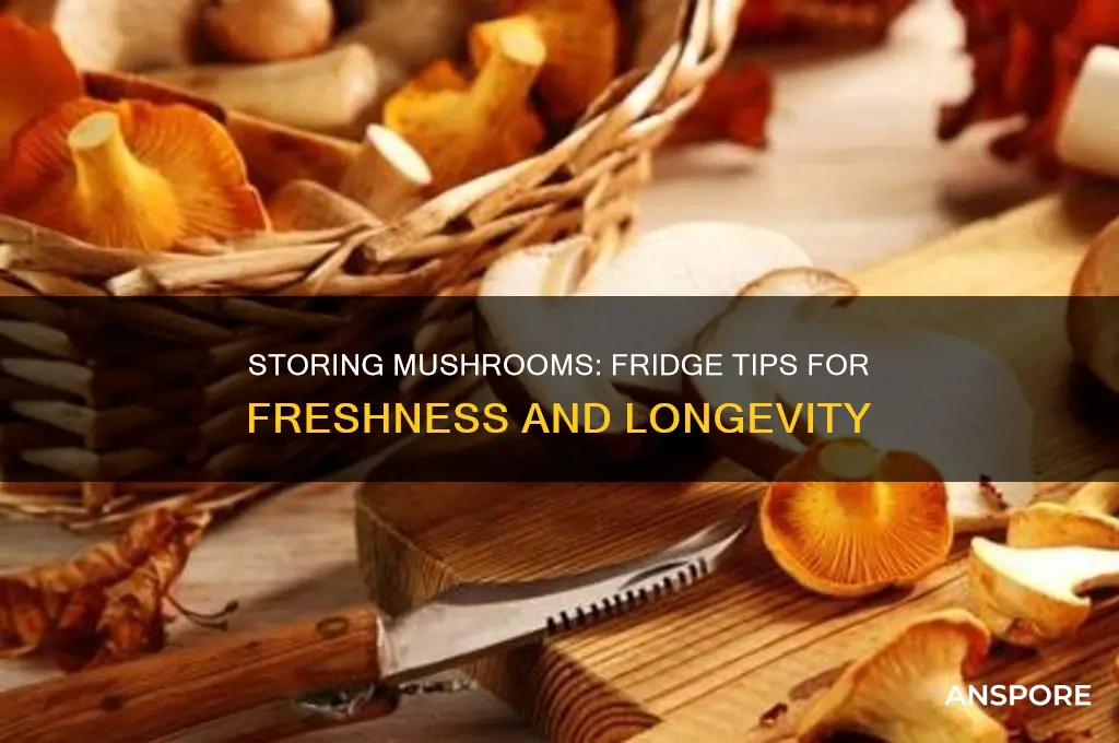 can you put mushrooms in the fridge