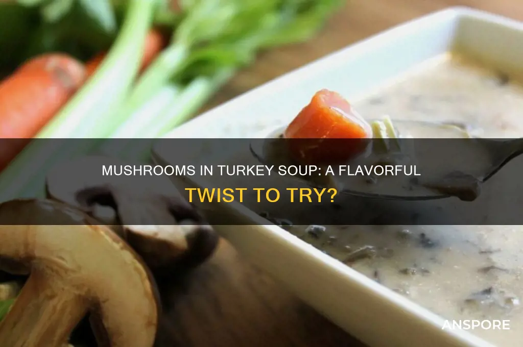 can you put mushrooms in turkey soup