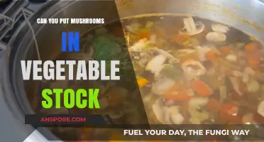 Mushrooms in Vegetable Stock: Enhancing Flavor and Nutrition – Tips Included