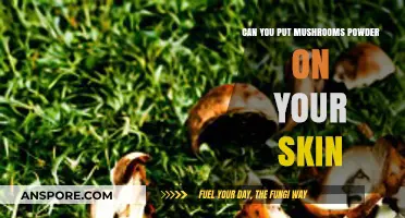Mushroom Powder for Skin: Benefits, Uses, and Application Tips