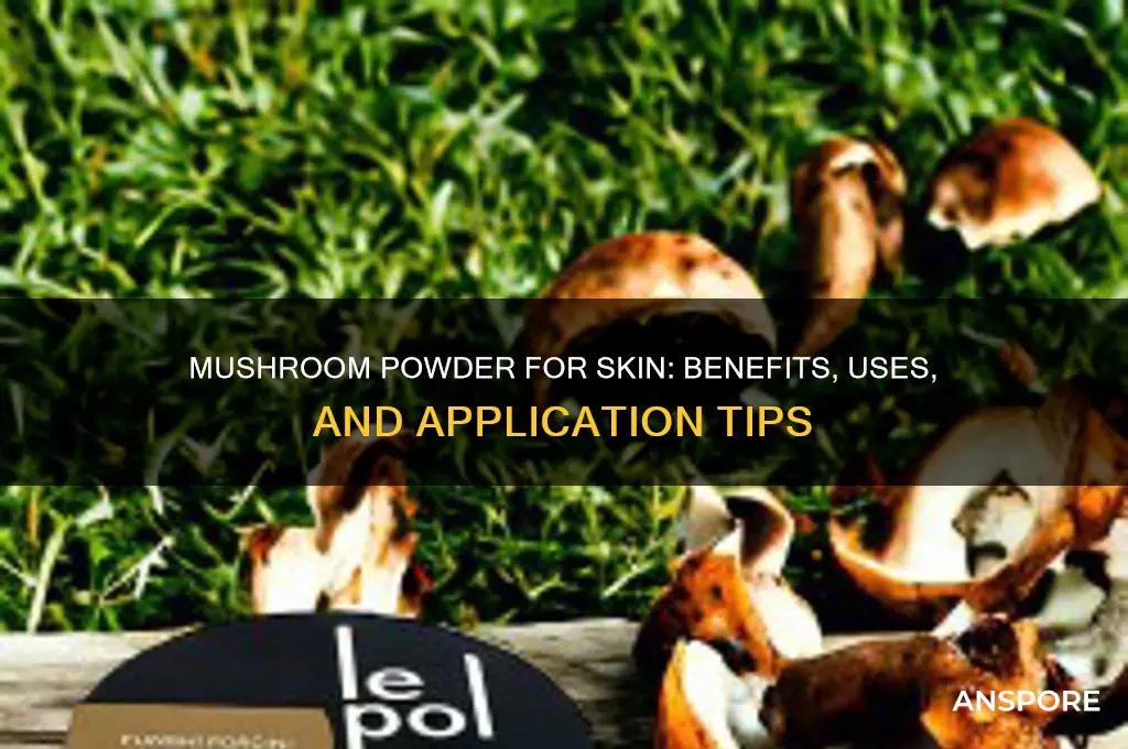 can you put mushrooms powder on your skin