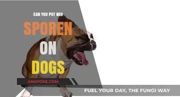 Can You Use Neosporin on Dogs? Safety Tips for Pet Owners