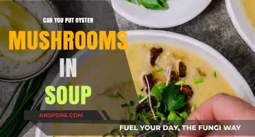 Delicious Oyster Mushrooms: Perfect Addition to Your Soup Recipes