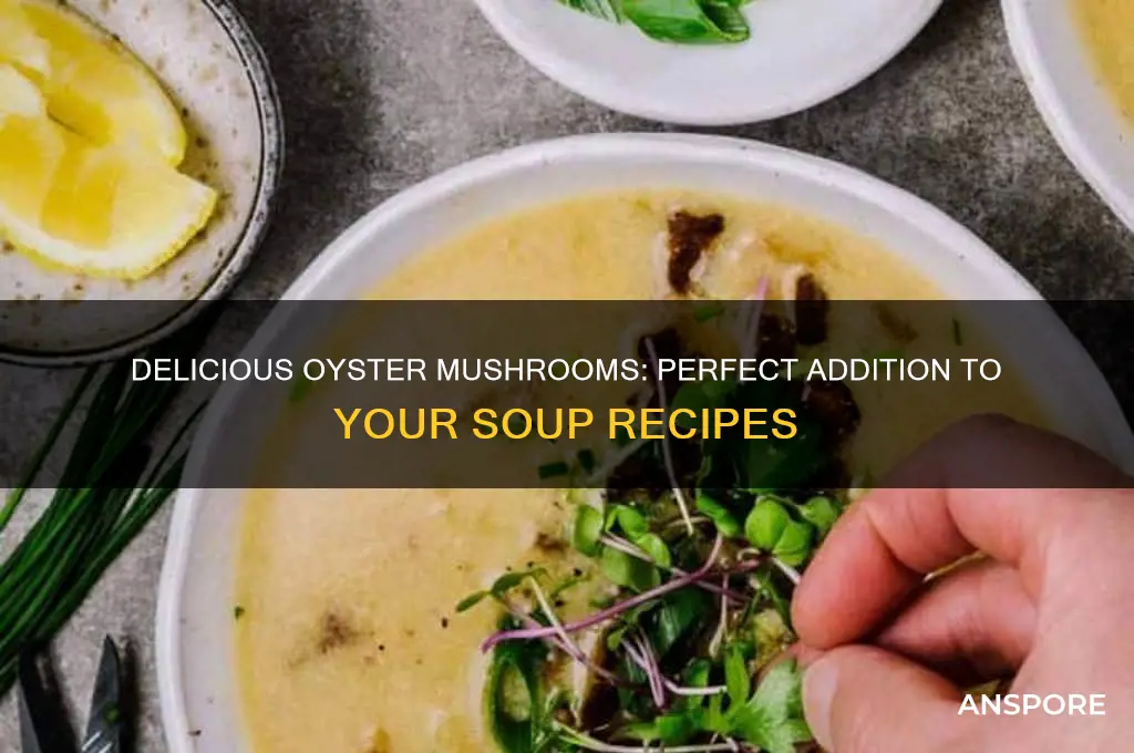 can you put oyster mushrooms in soup