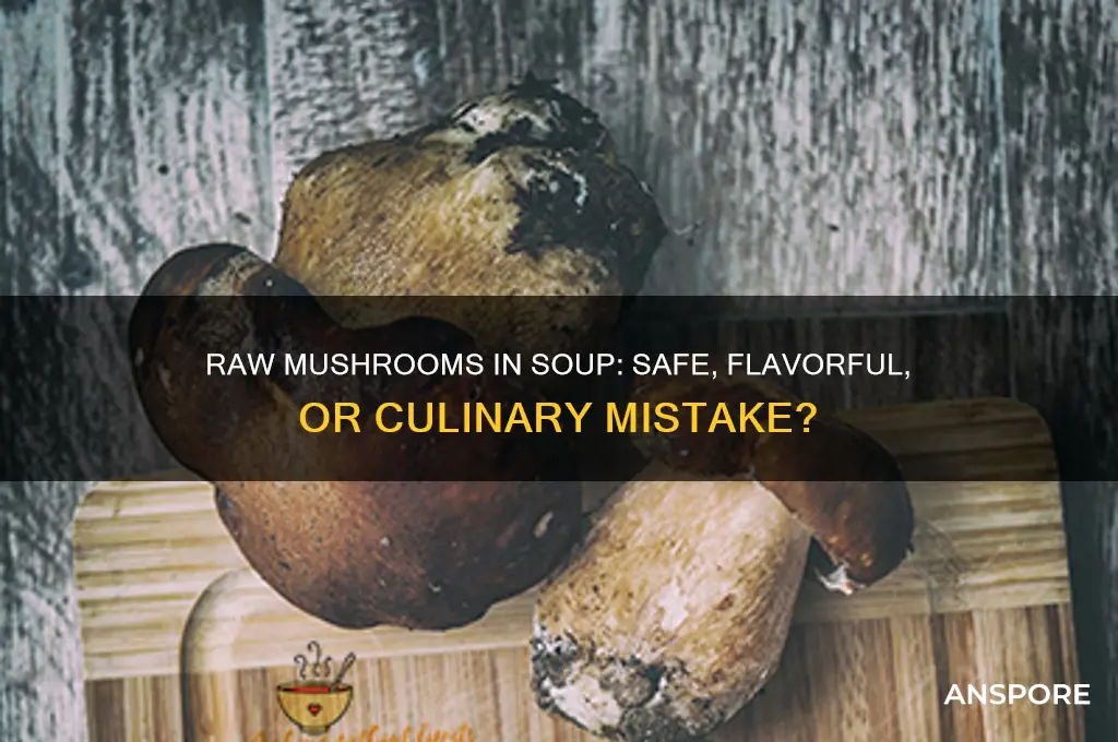 can you put raw mushrooms in soup