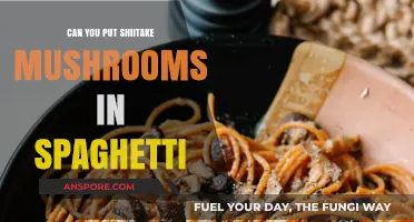 Shiitake Mushrooms in Spaghetti: A Delicious Umami Twist to Try