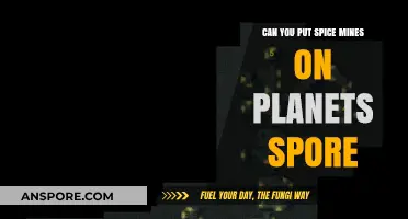 Spore Spice Mines: Can You Build Them on Planets?