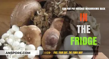 Can Washed Mushrooms Be Refrigerated? Storage Tips and Best Practices