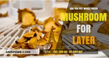 Storing Whole Fresh Mushrooms: Tips for Preserving Flavor and Freshness