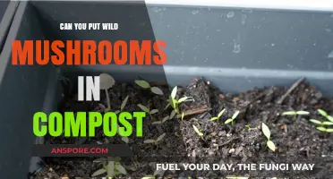 Composting Wild Mushrooms: Safe Practices and Benefits for Your Garden