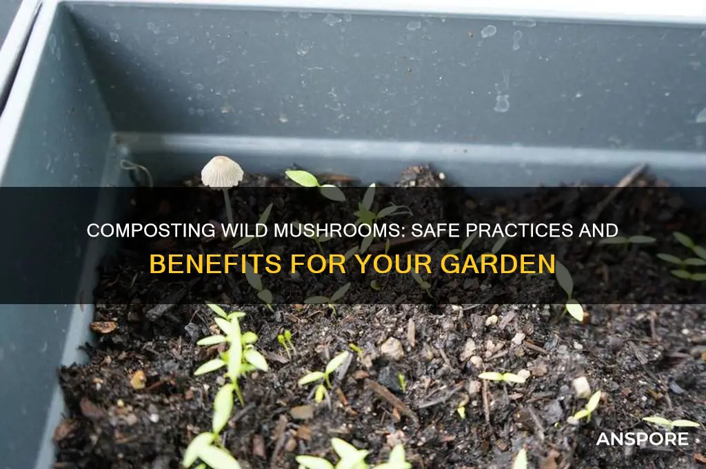can you put wild mushrooms in compost