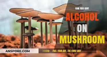 Exploring Psilocybin's Potential to Help Quit Alcohol: What Research Shows