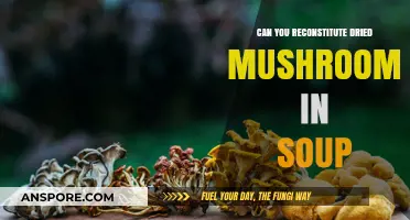 Reconstituting Dried Mushrooms in Soup: Tips for Flavorful Broth