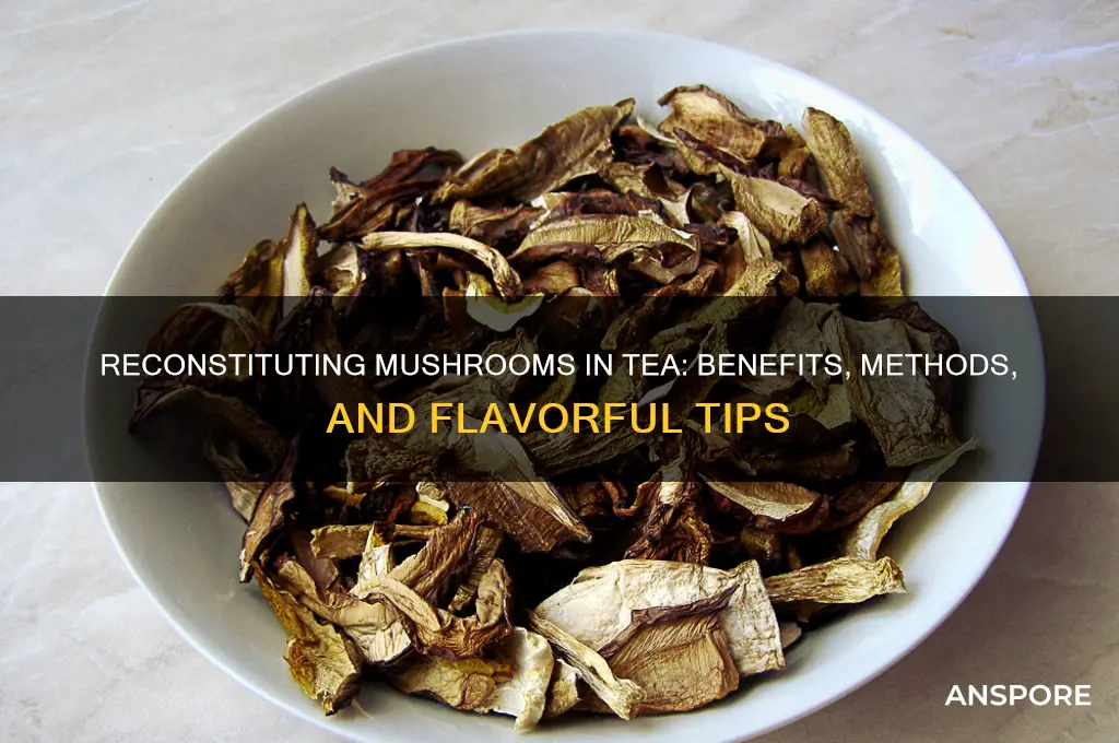 can you reconstitute mushrooms in tea