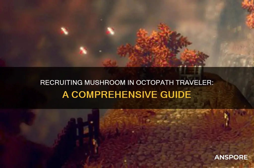 can you recruit mushroom octopath