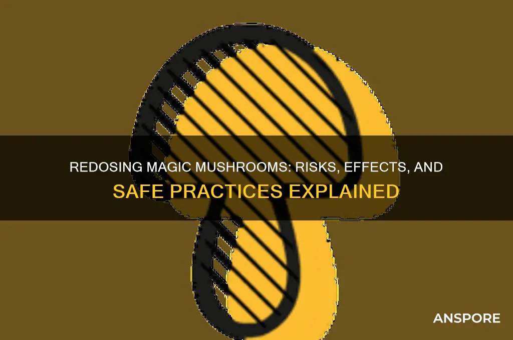 can you redose magic mushrooms