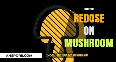Redosing on Mushrooms: Risks, Effects, and Safe Practices Explained