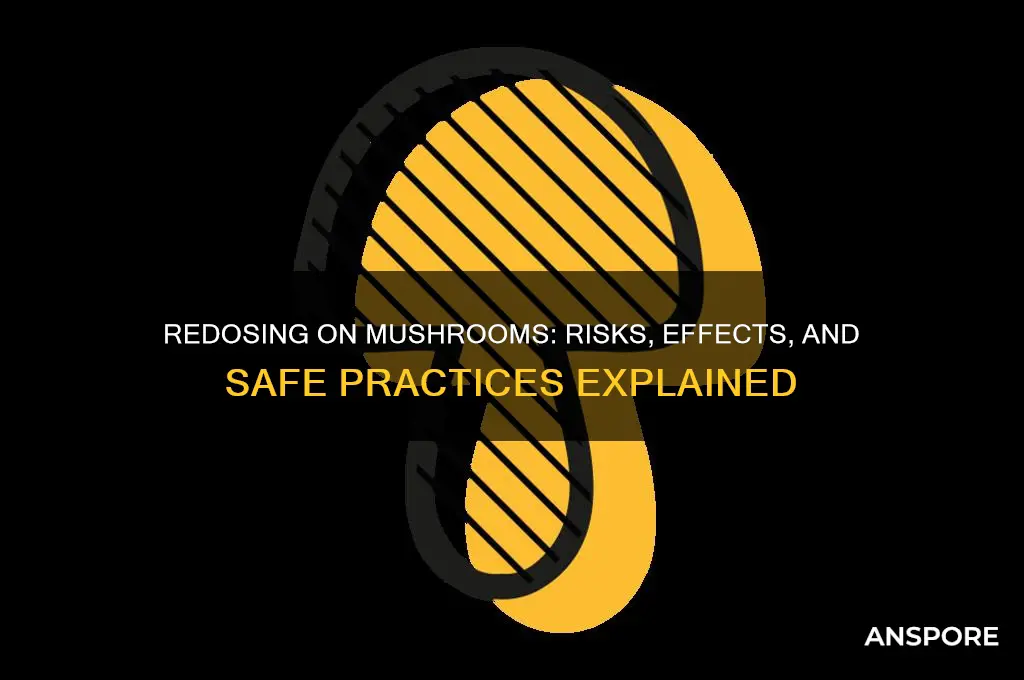 can you redose on mushrooms