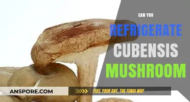 Refrigerating Cubensis Mushrooms: Best Practices for Freshness and Potency