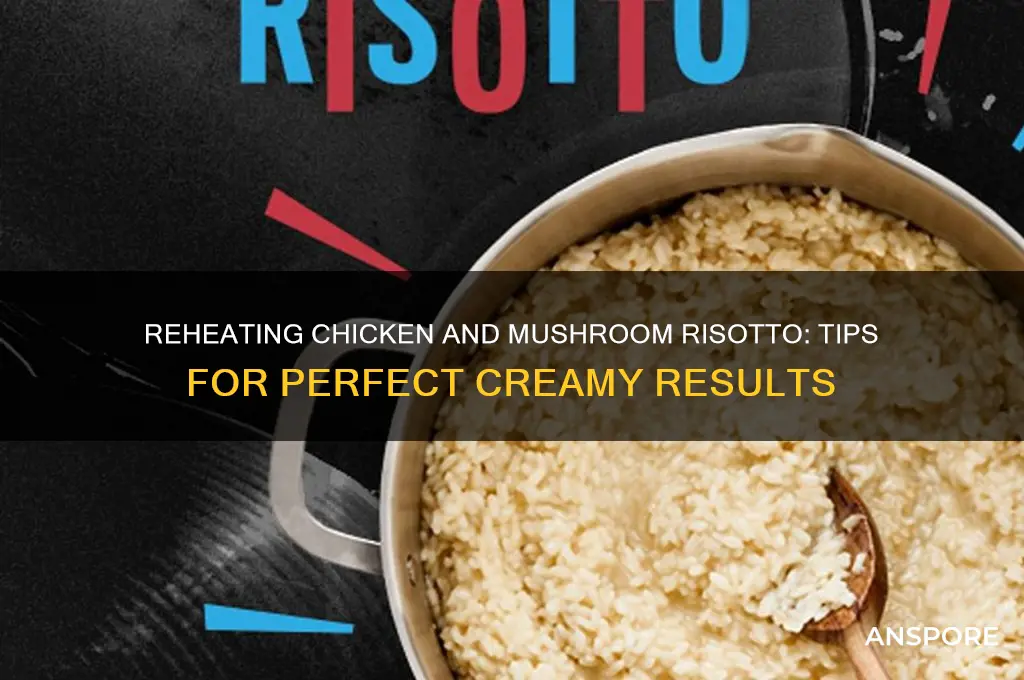 can you reheat chicken and mushroom risotto