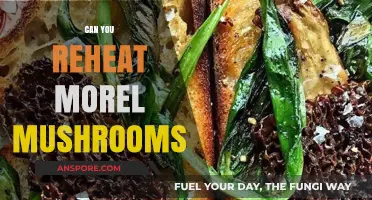 Reheating Morel Mushrooms: Tips for Preserving Flavor and Texture