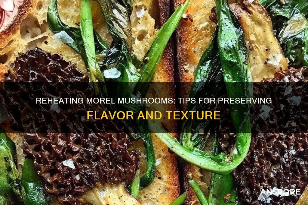 can you reheat morel mushrooms