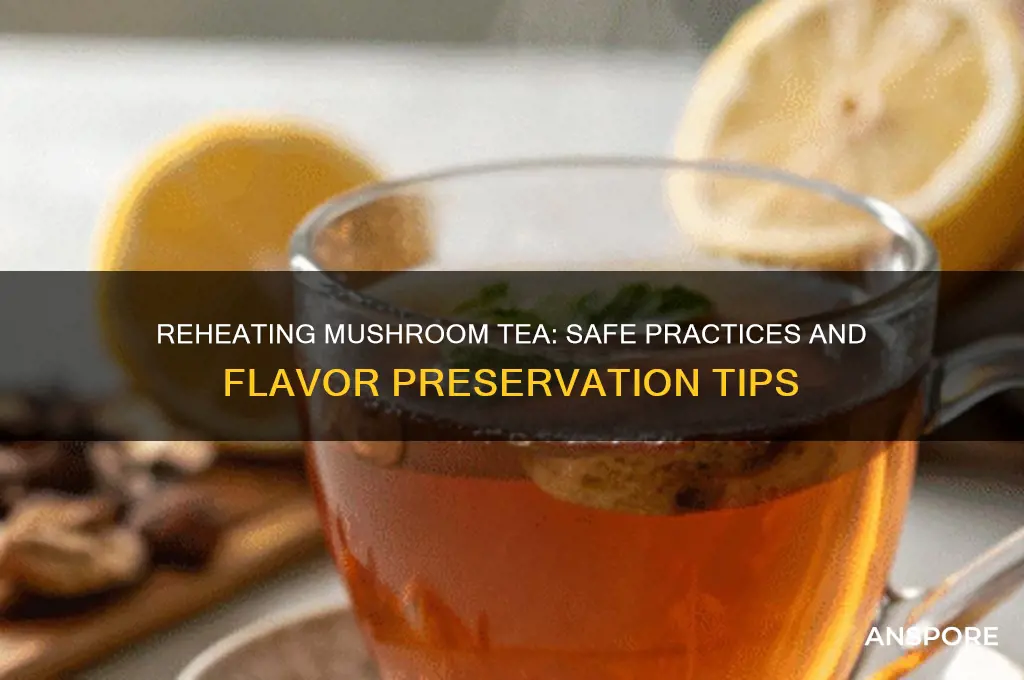 can you reheat mushroom tea