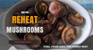 Reheating Mushrooms: Safe Practices and Tips for Delicious Results