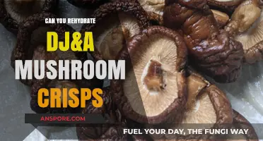 Rehydrating DJ&A Mushroom Crisps: Is It Possible and How?