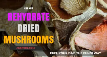 Rehydrating Dried Mushrooms: Tips, Tricks, and Flavor Revival Techniques