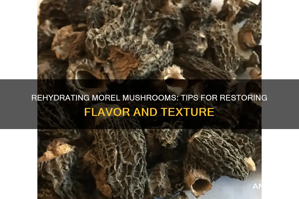 can you rehydrate morel mushrooms