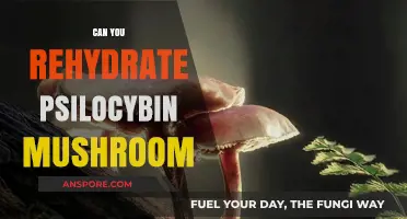 Rehydrating Psilocybin Mushrooms: Techniques, Benefits, and Safety Tips