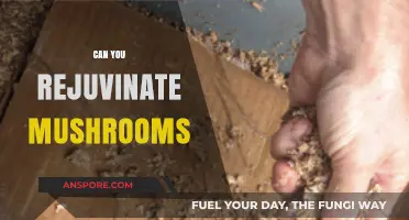 Reviving Mushrooms: Effective Techniques to Rejuvenate Your Fungal Harvest