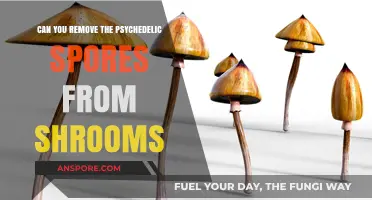 Removing Psychedelic Spores from Shrooms: Is It Possible or Safe?