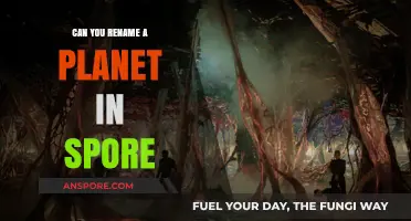 Renaming Planets in Spore: Possibilities, Limitations, and Creative Freedom