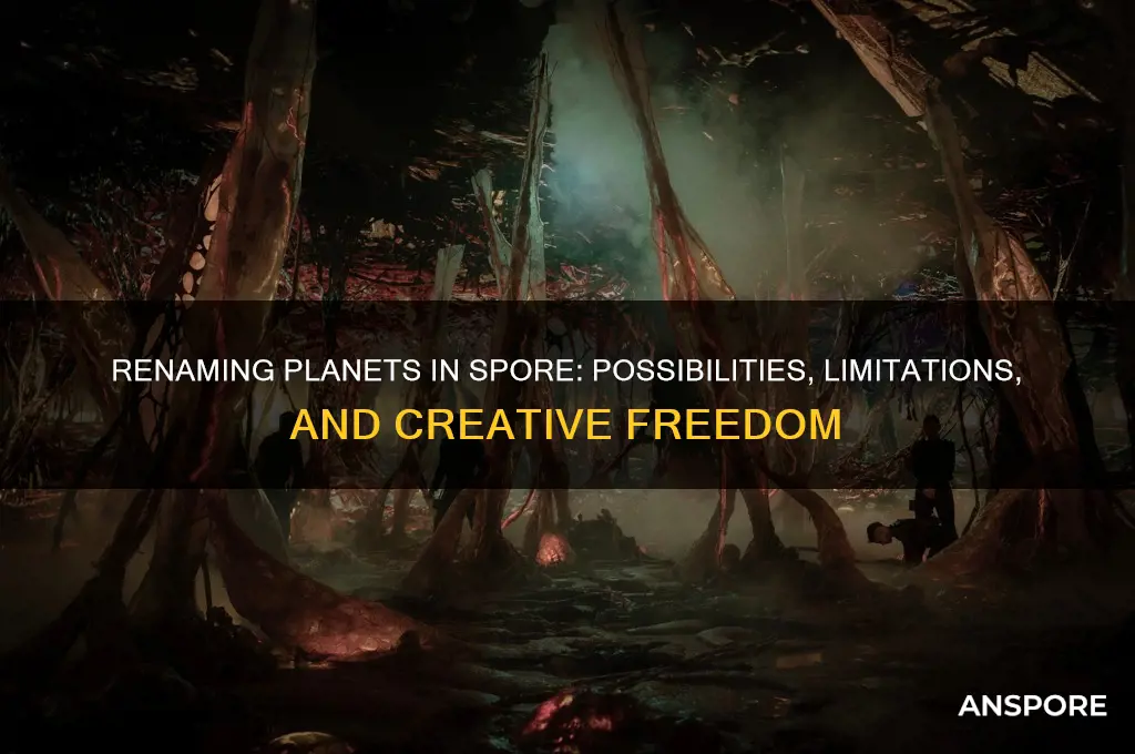 can you rename a planet in spore