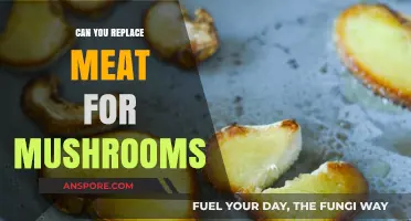 Mushrooms as Meat Alternatives: A Tasty, Sustainable Protein Swap