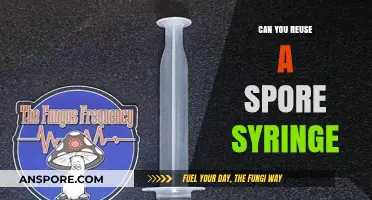 Reusing Spore Syringes: Best Practices for Safe and Effective Cultivation