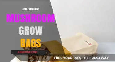 Reusing Mushroom Grow Bags: Eco-Friendly Tips for Sustainable Cultivation