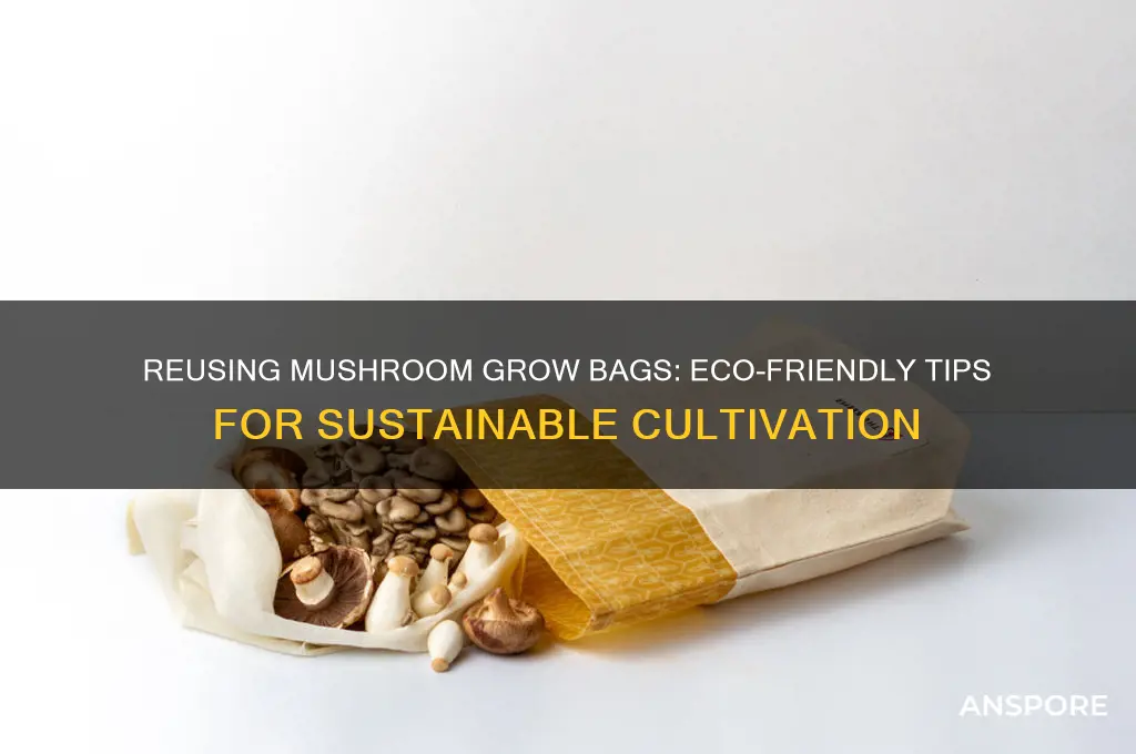 can you reuse mushroom grow bags