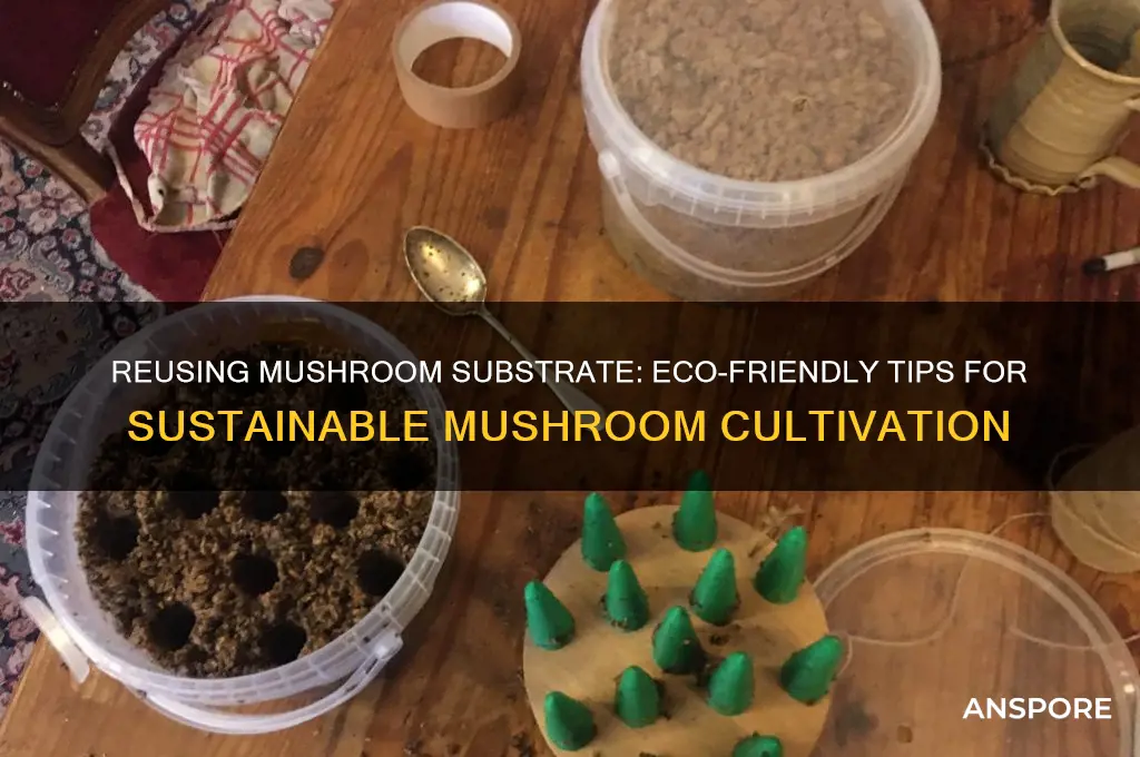 can you reuse mushroom substrate