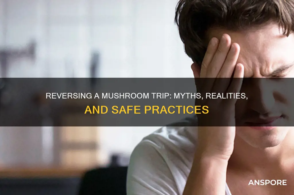 can you reverse mushrooms trip