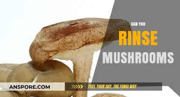 Rinsing Mushrooms: Best Practices for Cleaning Without Sacrificing Flavor