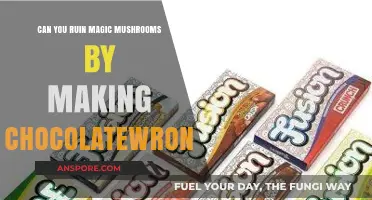 Can Chocolate Ruin Magic Mushrooms? Debunking Common Myths and Mistakes