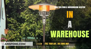 Mushroom Heaters in Warehouses: Feasibility, Benefits, and Practical Tips