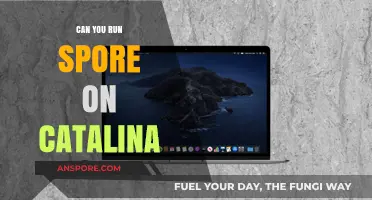 Running Spore on macOS Catalina: Compatibility and Solutions Guide