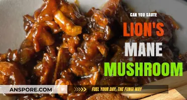 Sautéing Lion's Mane Mushrooms: Tips, Benefits, and Delicious Recipes