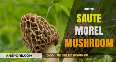 Sautéing Morel Mushrooms: Tips, Techniques, and Delicious Recipe Ideas