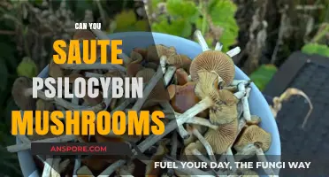 Sautéing Psilocybin Mushrooms: Culinary Exploration or Risky Experiment?